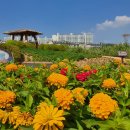 연수구치매안심센터 이미지