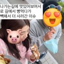 도쏭봉가또