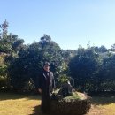 옥봉초등학교 이미지