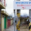 정율성 선생 거리 이미지