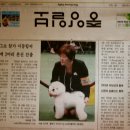 브리더독 이미지