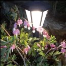 구암서1길 | 창원신점 용한곳 천신보살이 짚어준 2026 새해운세 후기