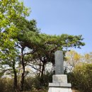 화순 오성산 의병장 최경운 나무/삶, 숨, 쉼터, 나무 이야기111 이미지