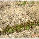 성빈농장 이미지