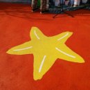 서귀중앙초등학교 병설유치원 이미지