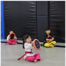 태성태권도 이미지