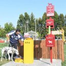 펫코노미 이미지