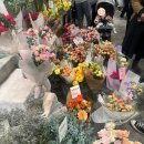 요양하는 중입니다. 설도 지내고...