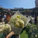 도파민의 힘으로 다시 시작해보는 주간일기