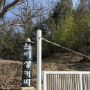 원이성커피 | 완주 이서면 카페 | 원이성커피 : 전주 근교 한옥 감성 대나무숲 뷰 카페
