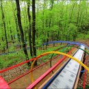 양촌자연휴양림 이미지