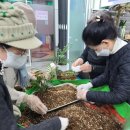 시니어마트 이미지