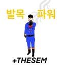 더셈(thesem) 이미지