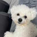 율곡동물병원 이미지