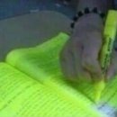 새들의 아침 이미지