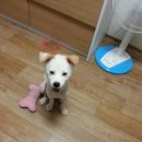 아람이네 이미지