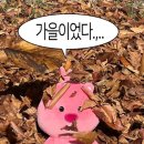 피에스타 PC방 충남 보령점 | 일상 : 2025.10月 _[0.1초만에 가을이 사라졌다]