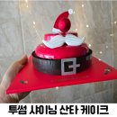 샤이닝카페 | 투썸플레이스 샤이닝 산타 케이크솔직후기 비주얼은 합격, 맛은 쏘쏘