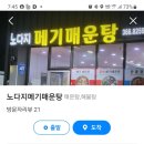 노다지메기매운탕 Daum카페