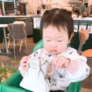 터틀리