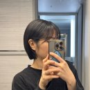 중촌 | 대전 중촌동 미용실 / 메종드헤어0403 대전중촌점 시술 후기