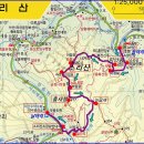 신지도