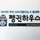 펭귄크리닝 이미지