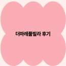 더마레 풀빌라 | 더마레풀빌라 후기 2025년 최고의 럭셔리 휴양지 경험기