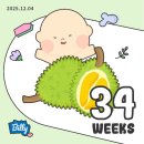 만향원 | 임신 34주차 일상기록(오메가3 복용중단, 첫 눈, 출산휴가 시작, 아기용품 세탁)