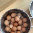 힘센복돼지 | 궁팡 양재 at센터 23년 6월 : 나도 집사님들도 너무 고생많았어요.