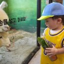 수달앤쥬 이미지