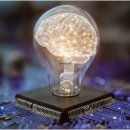 휴먼플러스 이미지