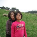 수현목장 이미지