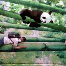 AR트릭아이전 이미지