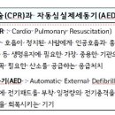 심폐소생술의 필요성 이미지