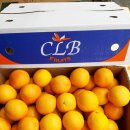 (주)골드레몬 이미지