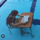 다이소 신대부적점 | 7월일상🦁_3