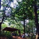 괴안어린이집 이미지