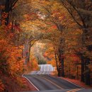 여행사진작가 이미지