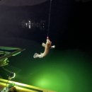 돌고래펜션 이미지