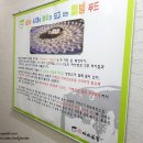 까치복집하종률 이미지