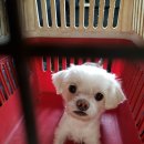 청북읍사무소 이미지