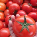 경식농장 이미지