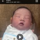 조이재 Daum카페
