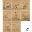 민화 고급 이미지