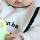 쿠름 이미지