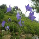 목석산방 이미지