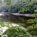 [공유] 청송 주산지 / 靑山 손병흥 이미지