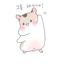 케이에스렌트카 이미지