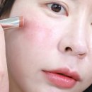 촉촉한 광택감, 팁토우 젤리스틱 뉴트럴톤 립앤치크 리뷰